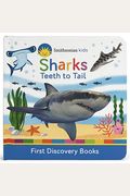 Smithsonian Kids Sharks: Teeth To Tail