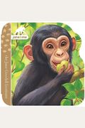 Jane & Me Chimpanzees (The Jane Goodall Institute)