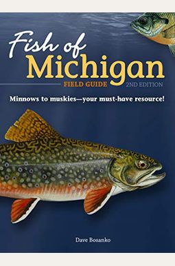 Fish Of Michigan Field Guide Fish Of Michigan Field Guide