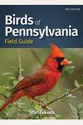 Birds Of Pennsylvania Field Guide