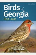 Birds Of Georgia Field Guide