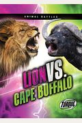 Lion Vs. Cape Buffalo