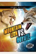 Mountain Lion Vs. Coyote