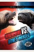 Wolverine Vs. Honey Badger
