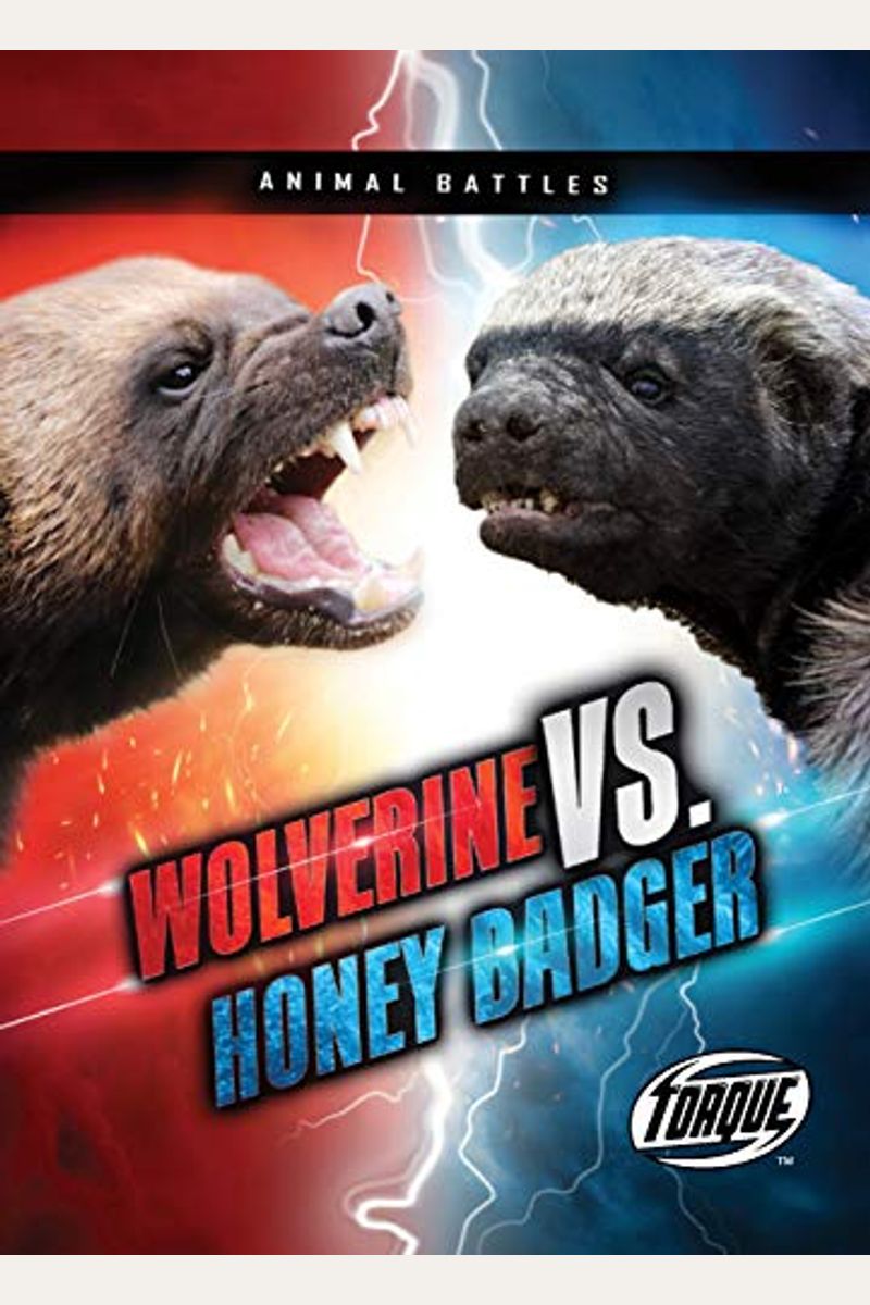Wolverine Vs. Honey Badger