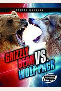 Grizzly Bear Vs. Wolf Pack