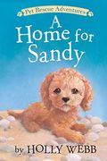 A Home For Sandy