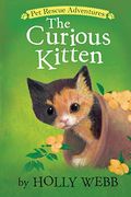The Curious Kitten
