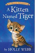 A Kitten Named Tiger