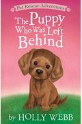 The Puppy Who Was Left Behind