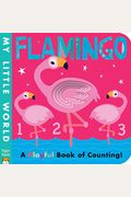 Flamingo: A Playful Book Of Counting!