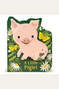 A Little Piglet