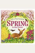 Pop-Up Surprise Spring In The Forest