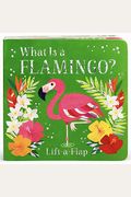What Is A Flamingo?