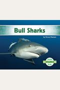 Tiburones Sarda (Bull Sharks) (Spanish Version)