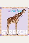 Giraffes Stretch