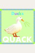 Ducks Quack