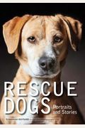 Rescue Dogs: Portraits And Stories
