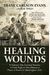 Healing Wounds: A Vietnam War Combat Nurse's 10-Year Fight To Win Women A Place Of Honor In Washington, D.c.