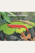 About Amphibians: A Guide For Children