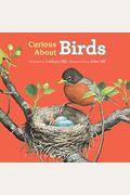 Curious About Birds