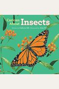 Curious About Insects