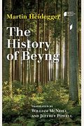 The History Of Beyng