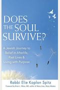 Does The Soul Survive? (2nd Edition): A Jewish Journey To Belief In Afterlife, Past Lives & Living With Purpose