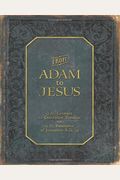 From Adam To Jesus