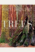 Trees: Between Earth And Heaven