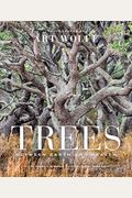 Trees (Gift Edition): Between Earth And Heaven
