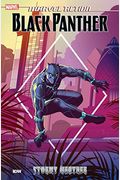 Marvel Action: Black Panther: Stormy Weather (Book One)