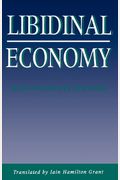 Libidinal Economy