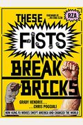 These Fists Break Bricks: How Kung Fu Movies Swept America And Changed The World