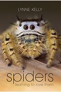 Spiders: Learning to Love Them