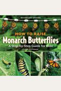 How To Raise Monarch Butterflies: A Step-By-Step Guide For Kids