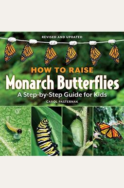 How to Raise Monarch Butterflies: A Step-By-Step Guide for Kids How to Raise Monarch Butterflies: A Step-By-Step Guide for Kids