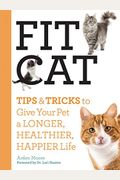Fit Cat: Tips And Tricks To Give Your Pet A Longer, Healthier, Happier Life