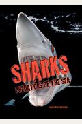 Sharks: Predators Of The Sea
