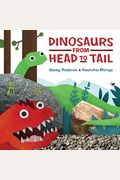 Dinosaurs From Head To Tail