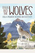 Bringing Back The Wolves: How A Predator Restored An Ecosystem