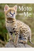 Moto And Me: My Year As A Wildcat's Foster Mom