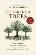 The Hidden Life Of Trees: What They Feel, How They Communicate--Discoveries From A Secret World