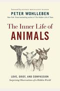 The Inner Life Of Animals: Surprising Observations Of A Hidden World
