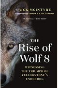 The Rise Of Wolf 8: Witnessing The Triumph Of Yellowstone's Underdog