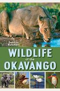 Wildlife Of The Okavango