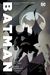 Batman By Scott Snyder & Greg Capullo Omnibus Vol. 2