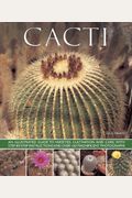 Cacti: An Illustrated Guide To Varieties, Cultivation And Care, With Step-By-Step Instructions And Over 160 Magnificent Photo