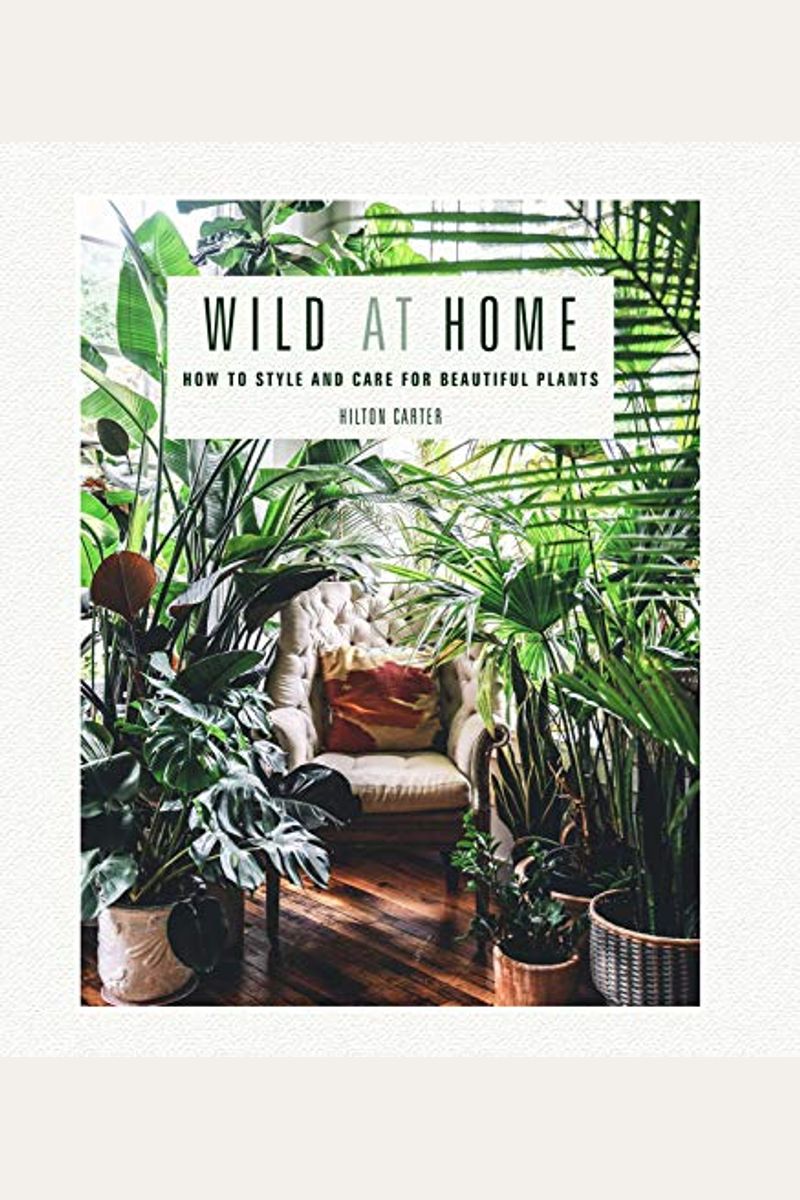 Wild At Home: How To Style And Care For Beautiful Plants