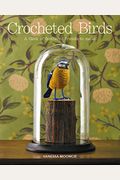 Crocheted Birds: A Flock Of Feathered Friends To Make